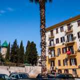 Raggiungiamo quindi il cortile, un largo spiazzo decorato con due alte palme...